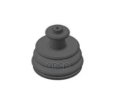 �������� �������� ����� Autofren Seinsa ���. D8159 D8159 ����