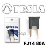 ��������������, Tesla ���. FJ1480A FJ1480A ����