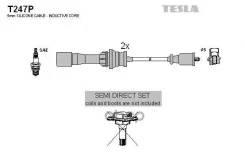 ������� ��������� Tesla ���. T247P T247P ����