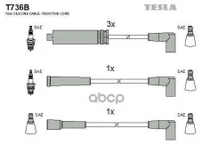 ������� ��������� Tesla ���. T736B T736B ����