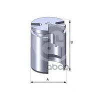 ������� �������� D36, LUC Autofren Seinsa ���. D02525 D02525 ����