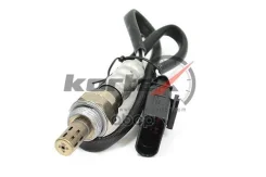 ������-���� 500�� Kortex ���. KLP079 KLP079 ����