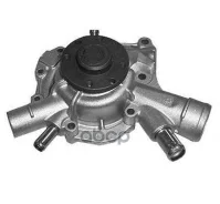 ����� ������� eQuali Magneti Marelli ���. WPQ0666 WPQ0666 ����
