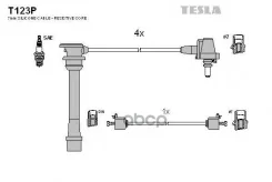 ������� ��������� Tesla ���. T123P T123P ����