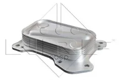 �������� �������� FIAT Grande Punto 1.3D 06- NRF ���. 31204 31204 ����