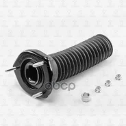 ������� ������������ | ��� ���� | TORR ���. DR0214 DR0214 ����