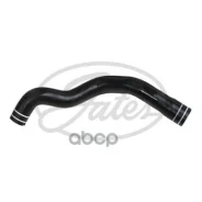 �������� ������� ���������� FIAT: Siena (178), 1.4, 07-09 51774737 Gates ���. 05-2892 052892 ����