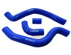 �������� ��������� ��� �/� ��� 2112 �/������� ������� 4 ��. Carum Carum ���. 21101303016 21101303016 ����