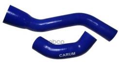     . Cummins  2012 . (2 . ) Carum Carum . 28-1303000-01 28130300001 