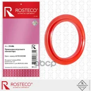 ��������� ��������� ���������� Mercedes S-klasse W221 Rosteco ���. 21496 21496 ����