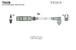 ������� ��������� Tesla ���. T062B T062B ����