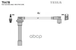 ������� ��������� Tesla ���. T847B T847B ����