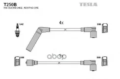 ������� ��������� Tesla ���. T250B T250B ����