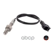 ������ ����������� Blue Print ���. ADK87038 ADK87038 ����