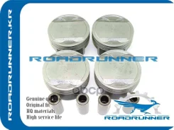 ������� ��������� � ����� Roadrunner ���. RR234102G000 RR234102G000 ����