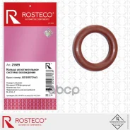 ������ �������������� ������� ���������� FPM Rosteco ���. 21589 21589 ����