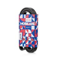  6PK1700 (EPDM) Chevrolet AVEO  (T300), Hyundai Tucson (JM), VW Jetta IV (162, 163, AV3, Mobiland . 501261700 501261700 
