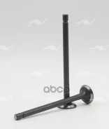 ������ ��������� Toyota Autowelt ���. VI34001 Autowelt VI34001 ����