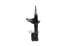 ����������� �������� Iberis ���. IB132006 IB132006 ����