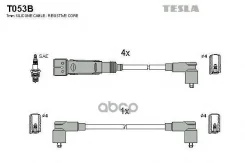 ������� ��������� Tesla ���. T053B T053B ����