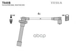 ������� ��������� Tesla ���. T848B T848B ����