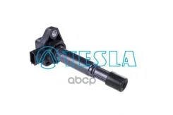 ������� ��������� Tesla ���. CL583 CL583 ����