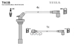 ������� ��������� Tesla ���. T443B T443B ����