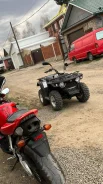 Linhai-Yamaha M200. ��������, ��� ���\���, � �������� ����