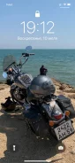 Harley-Davidson Sportster 1200 Custom XL1200C. 1 200����. ��., ��������, ���, � �������� ����