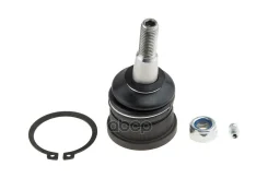 ������� ����� NTY ���. ZSG-CH-007 ZSGCH007 ����