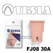 ��������������, Tesla ���. FJ0830A FJ0830A ����