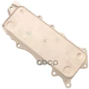 �������� �������� Zikmar ���. Z68676R Z68676R ����