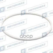 ������ ������� ����� Motorherz ���. HT0178 HT0178 ����