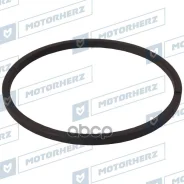 ������ ������� ����� Motorherz ���. HTZ0364 HTZ0364 ����