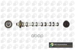 ���������� Bga ���. CS5538 CS5538 ����
