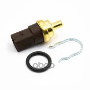 ������ ����������� (��� ������������ �����) Delphi ���. TS10283 TS10283 ����