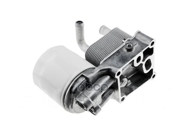 �������� NTY ���. CCL-FR-003 CCLFR003 ����