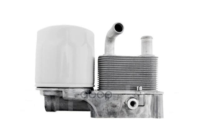 �������� NTY ���. CCL-FR-003 CCLFR003 ����