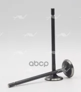 ������ ��� Autowelt VE57000 VE57000 ����