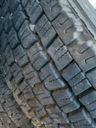 Dunlop Dectes SP081. ������, ��� �����, 2019 ���, �/�, ����� 5 % ����