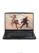 MSI Katana 17 B13VGK. 17.3", 2,4����, ��� 16 ��, ���� 1 000���, WiFi: 1, Bluetooth: 1, ����������� �� 2��. ����