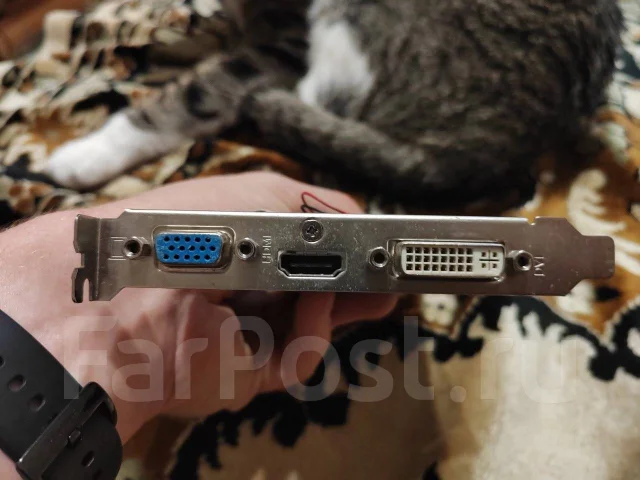 GeForce GT 610 ����