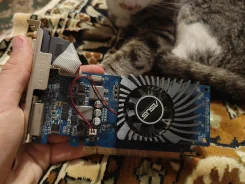 GeForce GT 610 ����