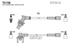 ������� ��������� Tesla ���. T670B T670B ����
