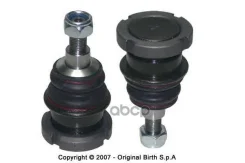 ������� ����� Birth ���. CX9217 CX9217 ����