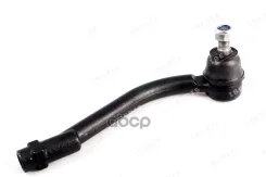 ���������� ������� ���� Iberis ���. IB119040 IB119040, Iberis IB119040 ����