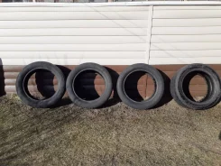 Triangle TR918. ������, �/�, ����� 40 % ����