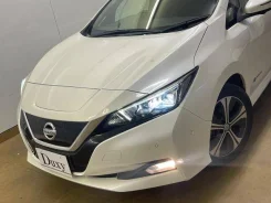 Nissan Leaf. ��������, ��������, �������������, 35����. ��, �/�. ��� ����� �� ������������ ����