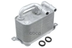 �������� ���� ENG 2.0-4.8 BMW 5 E60 04-10, BMW 5 E61 04-10, BMW 6 E63 04-10, BMW 6 E64 04-10 NTY ���. CCL-BM-034 CCLBM034 ����