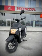 Honda Dunk. 49����. ��., ��������, ��� ���, ��� ������� ����
